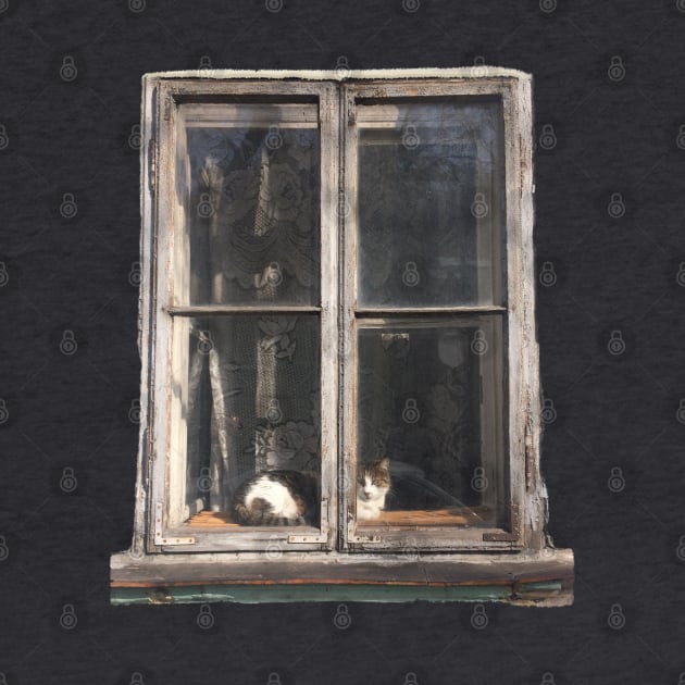 Window Cat by TenomonMalke